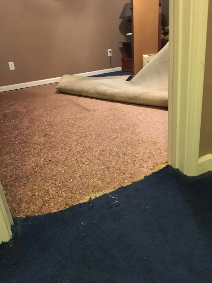 Carpet pad removal revealing water damage during Drying & Dehumidification in Bee Ridge