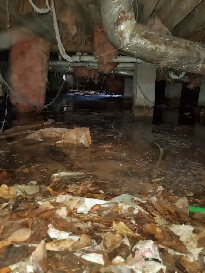 Crawl space flood assessment for Leak Detection & Repair in Bee Ridge