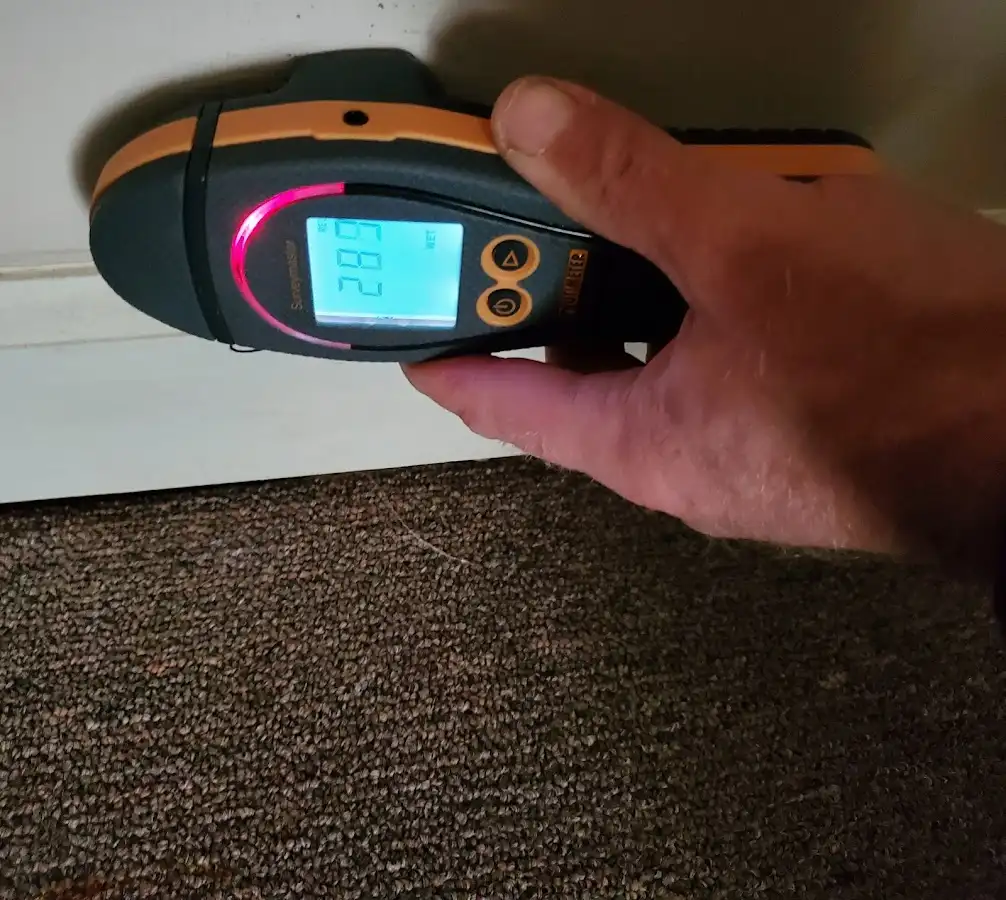 Moisture detection at baseboard during Mold Inspection & Testing in Bee Ridge