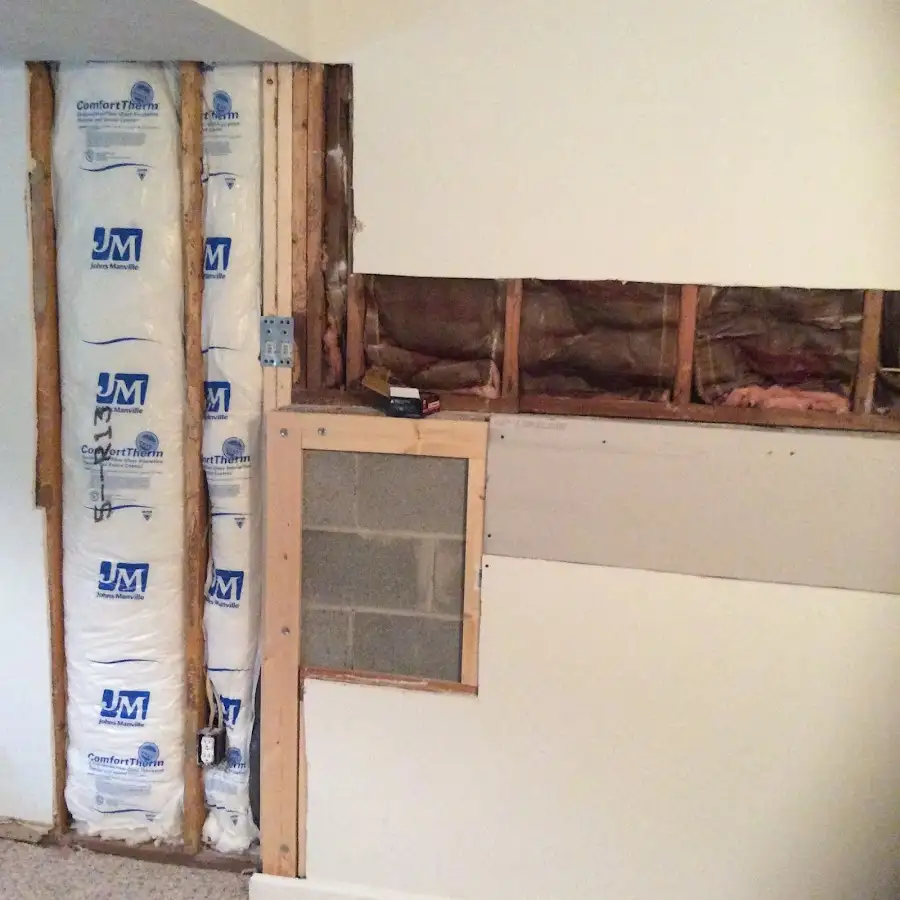 Wall insulation replacement during Odor Removal & Deodorization in Bee Ridge